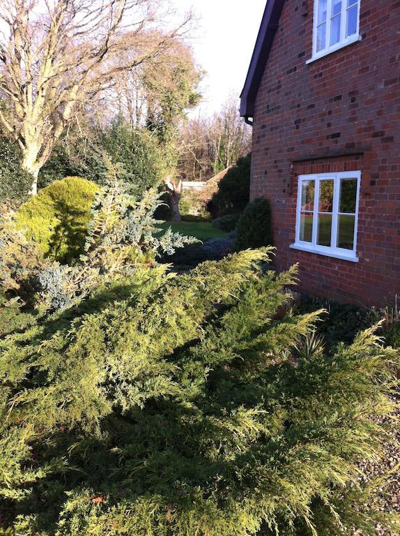 Thatched Farm Bed And Breakfast Woodbridge Esterno foto